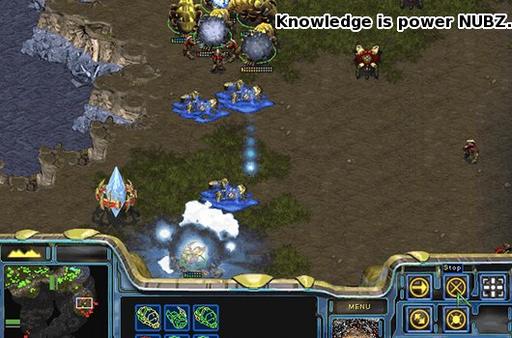 StarCraft - StarCraft идет в университет.